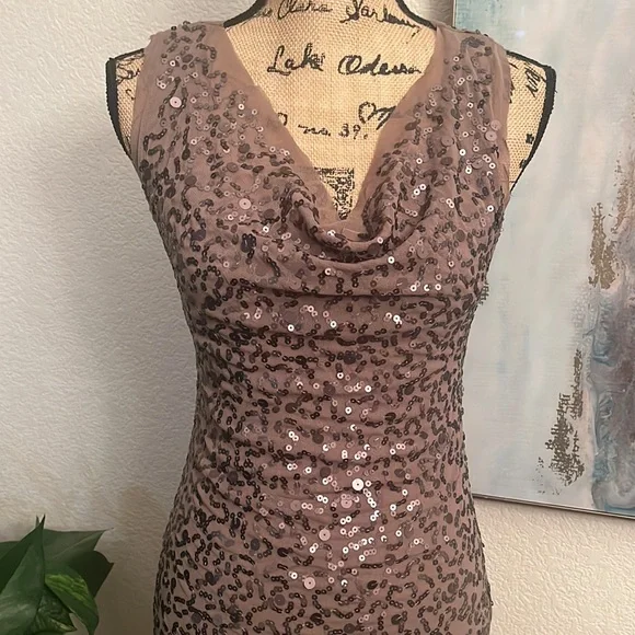 NWOT Max Studio
Size XS 
Sequence Dress
Stretchy
#261A - Picture 3 of 7